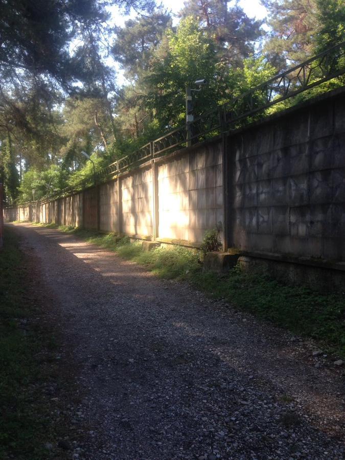 Guesthouse Tigranakert Pizunda Bagian luar foto