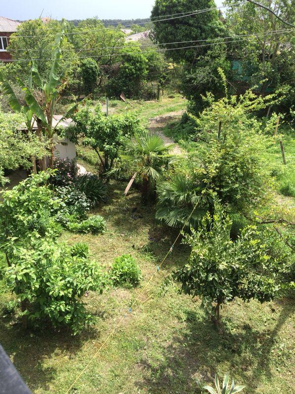 Guesthouse Tigranakert Pizunda Bagian luar foto